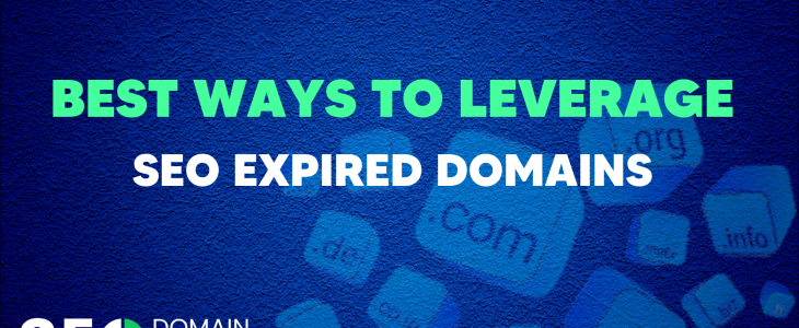 Leverage SEO Expired Domains